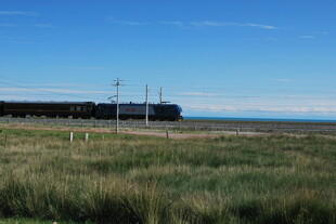 草原上的输电线路景观