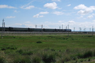 草原上的输电设施景观