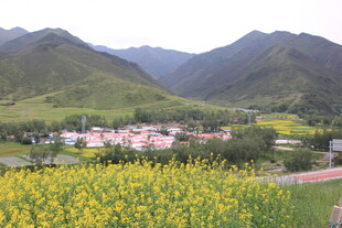 山间花海中的美丽村落