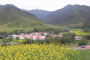 山间油菜花海中的村落