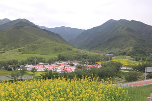 山间花海旁的美丽村落