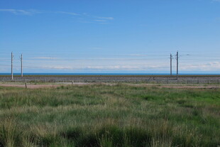 广袤草原与远方电线杆
