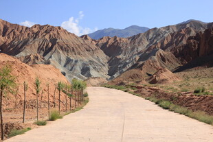 山间蜿蜒小路的壮丽风光