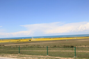 草原上的金黄花海与蓝天