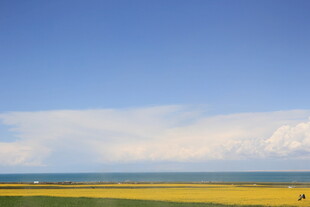 蓝天黄地间的开阔美景