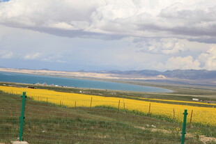草原花海与远处的蓝色湖泊