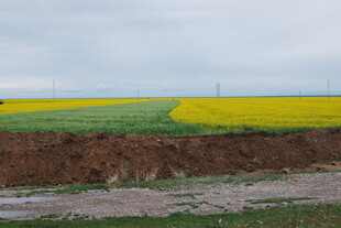 田野间多彩农田风光