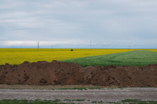 田野风光 多彩农田景致