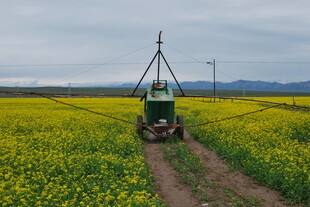 田野中行驶的农用机械