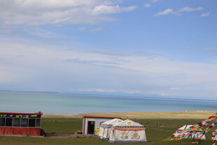 草原上的蒙古包风景