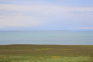 辽阔草原与碧海蓝天