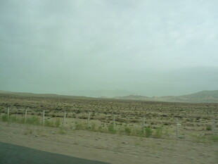 荒漠公路边的稀疏植被