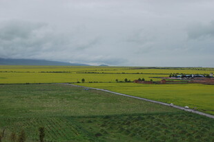 广袤田野中的蜿蜒道路