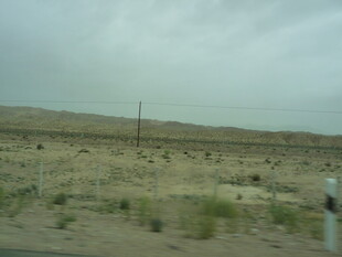 荒漠中的稀疏植被景观