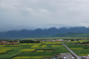 田园风光中的多彩田野