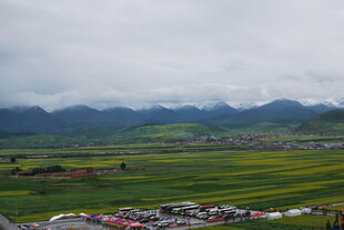 田园风光下的多彩田野景色