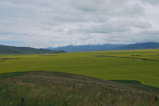 草原绿野 云下壮阔风光