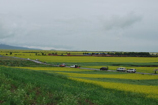 草原上的多彩田园风光