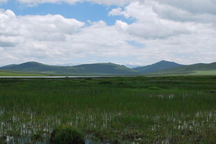 草原风光 远山与蓝天白云