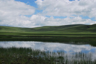 草原湖泊美景