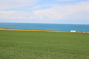 草原与海的美丽风光