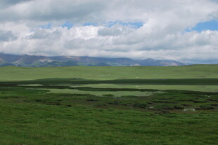 广袤草原与远方山峦美景