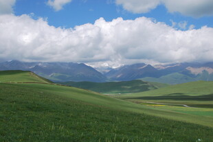 草原风光 远处山峦与白云