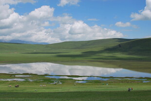 草原湖泊美景