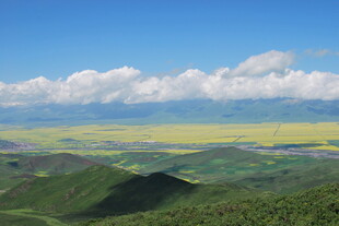 草原花海蓝天壮美风光