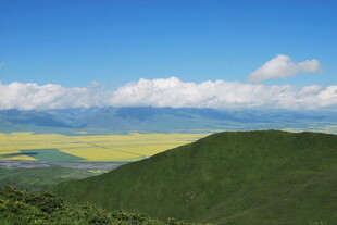 青山间的金黄田野景观