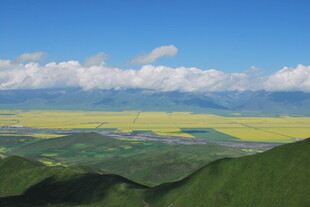 壮美草原花海与远山景观