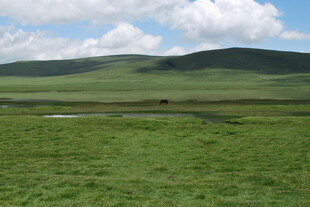 草原风光 广袤绿野