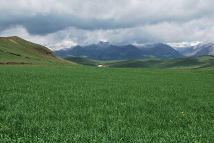 广袤绿野与远山的自然景致