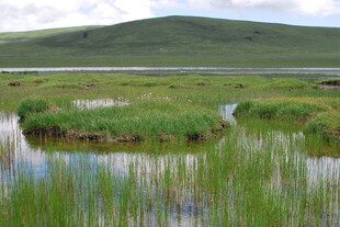草原湿地风光美景