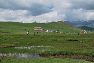 草原风光中的休闲场景