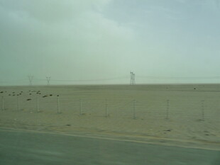 沙漠公路边的开阔景象