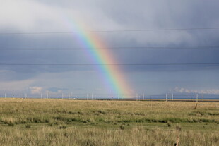 草原上空的绚丽彩虹