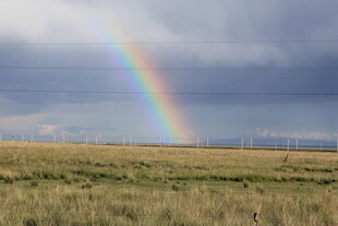 草原上空的绚丽彩虹