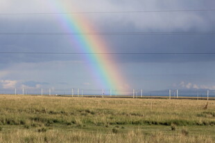 草原上空的绚丽彩虹