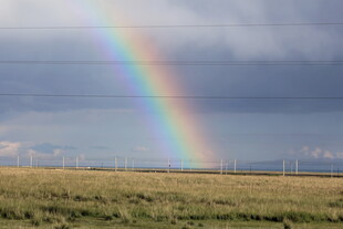 草原上空的绚丽彩虹