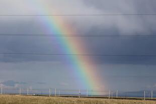 田野上空的绚丽彩虹