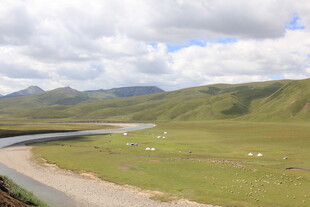 草原河畔羊群的美丽风光