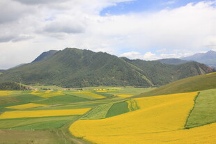 山间多彩田野风光
