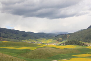 山间油菜花海美景