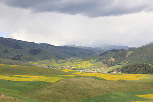 山间黄绿田野与云雾美景