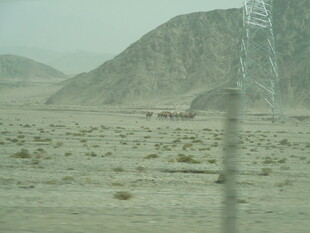 荒漠中的输电塔