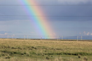 草原上空的绚丽彩虹