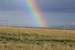 草原上的绚丽彩虹