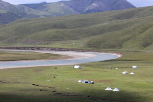 草原河畔的悠闲牧场景象
