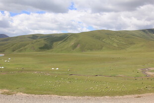 广袤草原与远处山峦景观